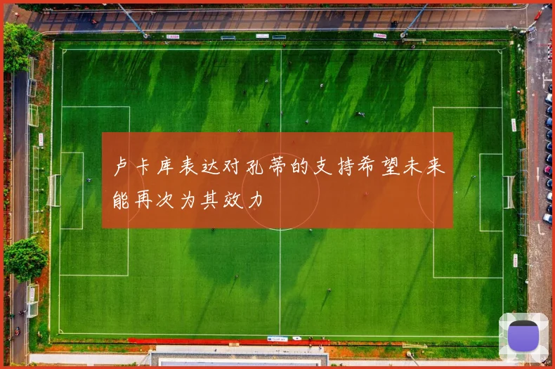 卢卡库表达对孔蒂的支持希望未来能再次为其效力